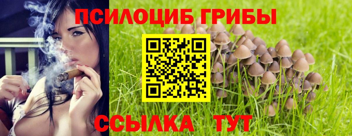 Великий Устюг  Галлюциногенные грибы мицелий  Галлюциногенные грибы MAGIC MUSHROOMS  Вход с VPN 